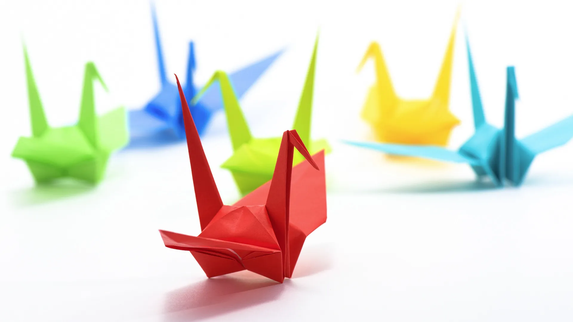 ベターデイズ合同会社